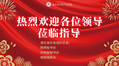 湖北省社会组织总会秘书长陈辉一行赴