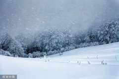 <b>今年下半年来首个暴雪预警拉响!</b>