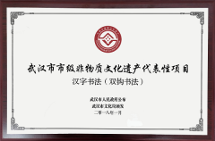 双钩书法非遗传承人“武汉好人圈”杨
